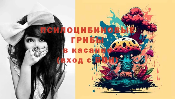 бутират Надым
