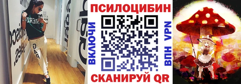 mega tor  Нижний Тагил  Галлюциногенные грибы MAGIC MUSHROOMS 