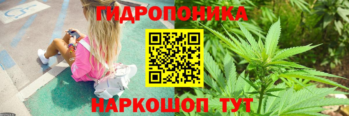 Бошки марихуана Amnesia Нижний Тагил
